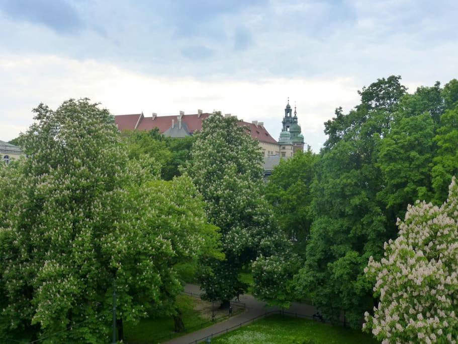 Apartament Gertrudy Belle Krakow Room photo